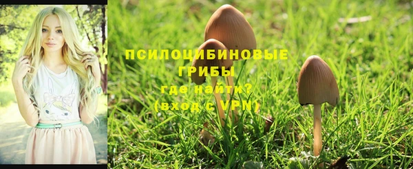 первитин Абаза