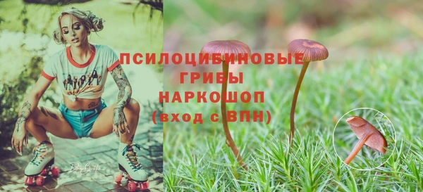 МДПВ Абинск