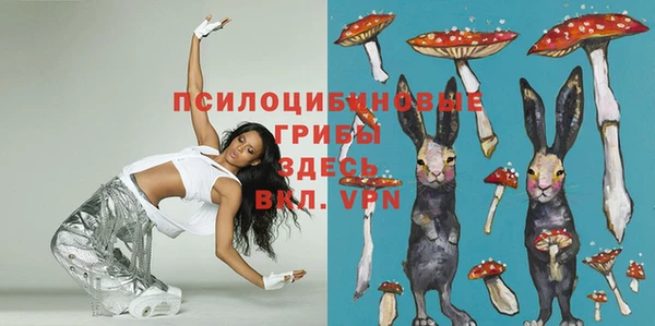 МДПВ Абинск