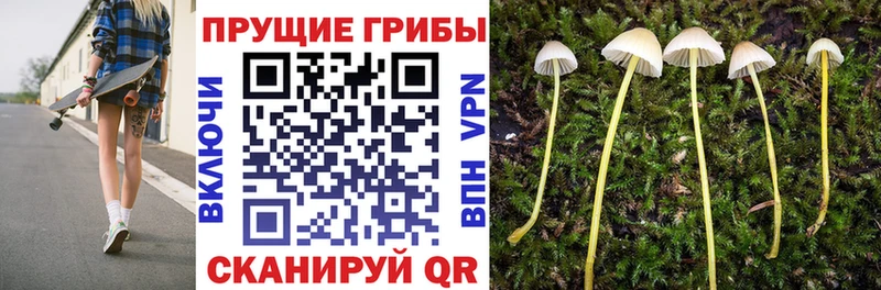 Псилоцибиновые грибы прущие грибы  мега   Томари 
